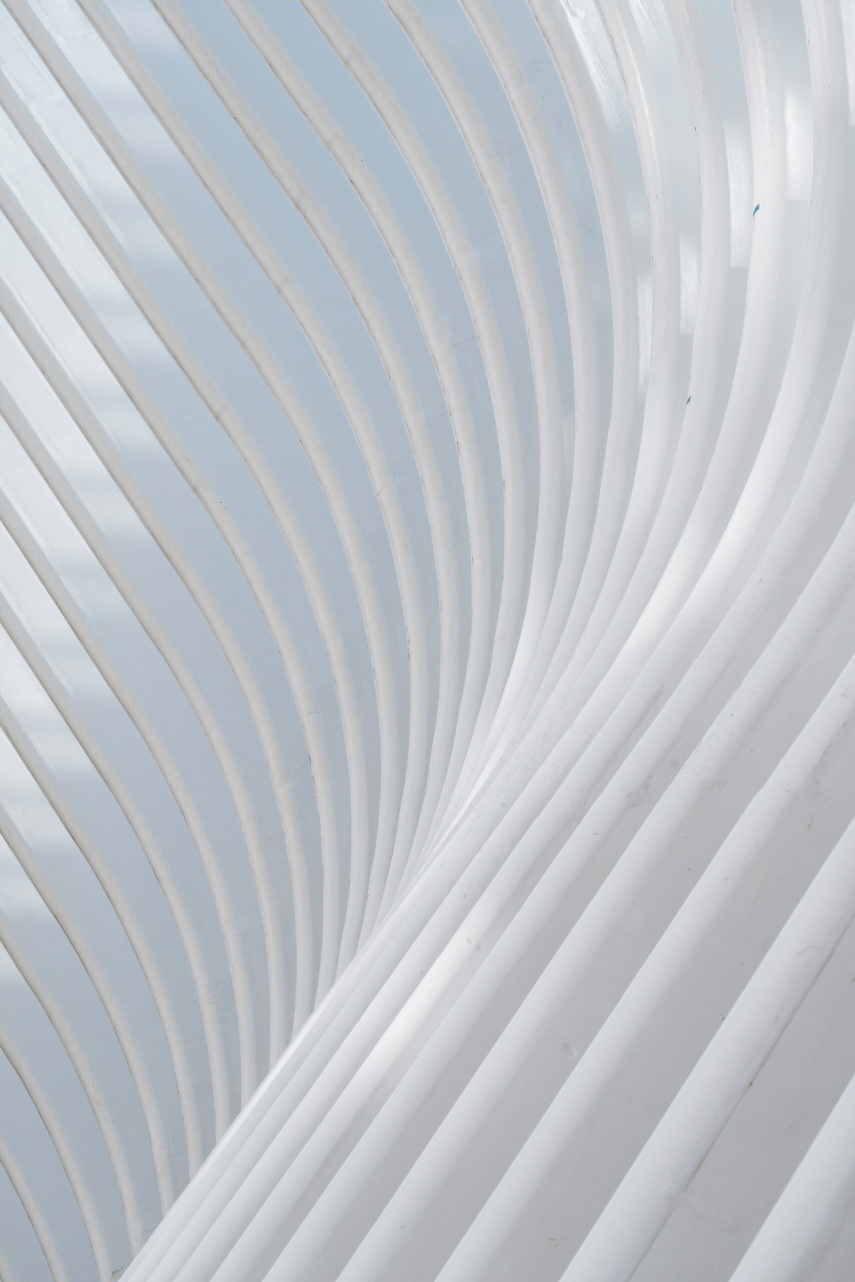 immigration-service-delivery-isd-announces-initiative-to-facilitate